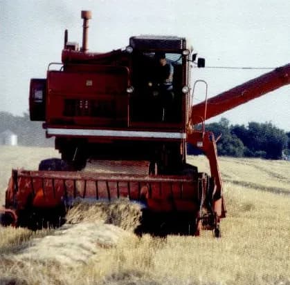 A combine harvester working in a field of wheat.